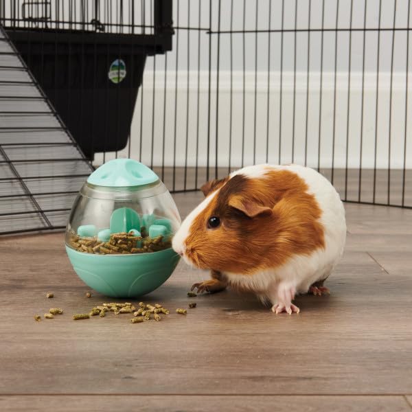 Oxbow Enriched Life Wobble Teaser Toy for Rabbits, Guinea Pigs, Hamsters, Rats - style: Wobble teaser