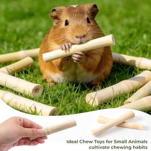 3lb Natural Sweet Bamboo Chew Toys for Rabbits & Guinea Pigs | Teeth Grinding Treats Snack for Chinchilla, Hamster, Bunny, Squirrel, Degus, Dental Chew Treats for Small Animals - size: 3lb
