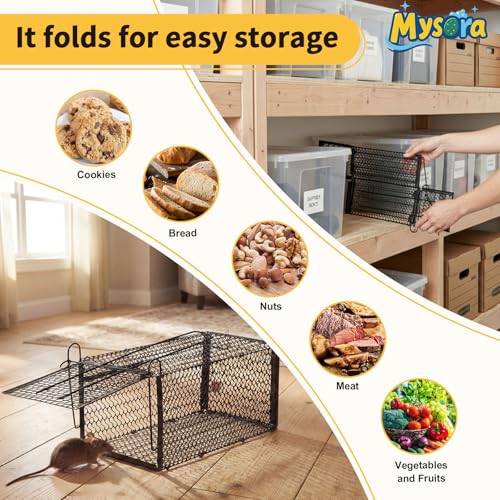 2 Pack Humane Rat Traps, Foldable Cage,11.8 x 5.5 x 5.5 Inches,Black | for Mouse Chipmunks and Squirrels, Reusable Wire Mesh Rodent Traps for Catch & Release, Indoor & Outdoor - size: 11.8 x 5.5 x 5.5 Inches