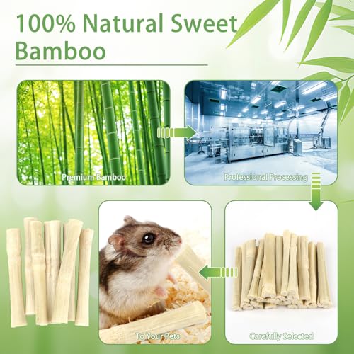 300g Sweet Bamboo Sticks for Rabbits, Bunny Chew Toys for Small Pets | Natural Bamboo Chews for Rabbits, Chinchillas, Guinea Pigs, Hamsters, Squirrels,and Small Animal Teeth Grinding