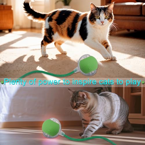 Interactive Cat Dog Toy Ball with LED Light, Automatic Rolling(Green) | String Tail and LED Light Design, Motion Activated, Suitable for Interactive Indoor Pet Play and Exercise - color: Green