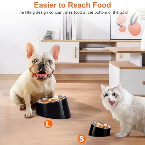 Tilted Dog Bowl Non-Slip & Non-Spill Pet Feeder with Elevated Detachable Melamine Stand, Easy to Get Food Dog Dish, S/100ml Black - color: Black, size: Small(100ml)