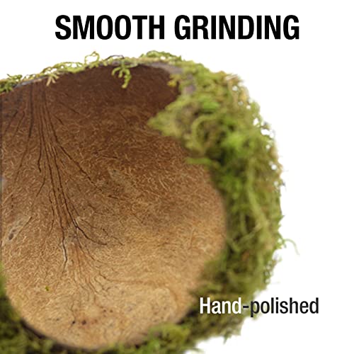 Hamster Hideout - Large, Natural Moss, Handcrafted for Syrian Hamsters, Rats & Guinea Pigs, Safe & Eco-Friendly - size: Cave, Large