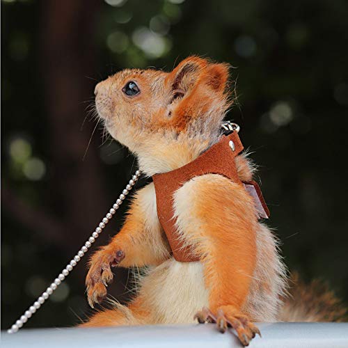 Squirrel Traction Rope Strap Anti-Biting Chain Rope, Adjustable Vest, Small Animal Walking Harness with Lead Leash, Hamster Gerbil Rat Mouse Ferret Chinchilla Small Animal Walking Leash | Small Animal Walking Harness with Lead Leash/ No Neck Strain/ Stres