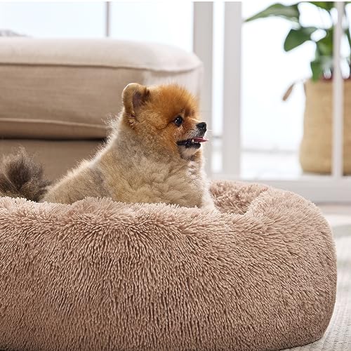 Bedsure Calming Cat Beds Donut Round Washable Kitten Bed,20 inches Camel | Fluffy Faux Fur Cuddler,Machine Washable,Anti-Slip Bottom,Anti-Anxiety,Deep Sleeping for Cats&Small Pets Up to 15 Lbs - color: Camel, size: 20"L x 20"W x 6"Th