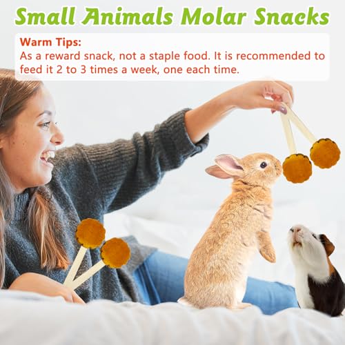 Hamiledyi Bunny Chew Toys for Teeth Natural Rabbit Lollipop Chewing Sticks Hamster Pumpkin Molar Toy Chews and Snacks for Guinea Pig Chinchilla Gerbil (Pumpkin,10Pcs)