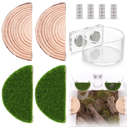 2 in 1 Jumping Spider Enclosure Accessories - Magnetic Feeding Dish with Jumping Wood Ledges | Acrylic Water Bowl Food Dish Habitat Decor for Tarantula Small Spider Reptile