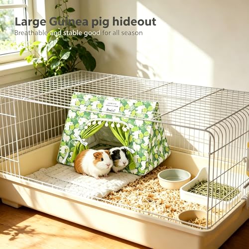 Guinea Pig Hideout with Curtain Bunny Hideout Guinea Pig Tent(Green Alpaca) | Washable Bunny Hideaway Tent Bottomless Guinea pig bed cage accessories for Ferret,Rat,hamster,Hedgehog,small animal bed ﻿