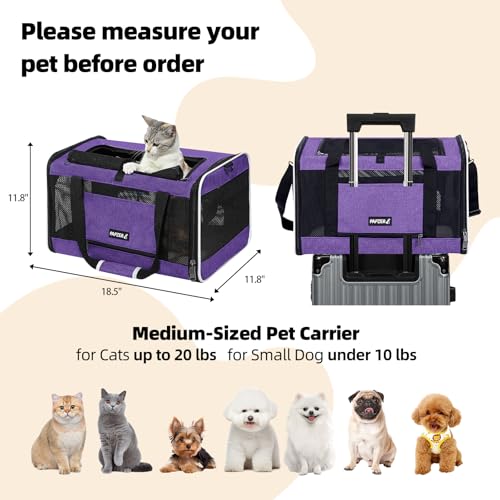 Cat Carrier Soft-Sided Travel Bag for Medium to Large Cat Over 15lbs | Small Puppy Dog Carry Crate 12 Pounds, Top Entry, Breathable Mesh, Pet Kitten Rabbit Cage Bag Transport Kennel Collapsible - color: Purple