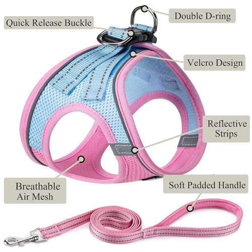 Dog Harness with Leash Set, Step-in Adjustable Puppy Vest, Pink Green XXS | Lightweight Breathable Air Mesh, Night Safety Reflective, No Pull Puppy Vest Harnesses for Small Medium Large Dogs, Cats - color: Pink Green, size: XXS(Chest:10"-12")
