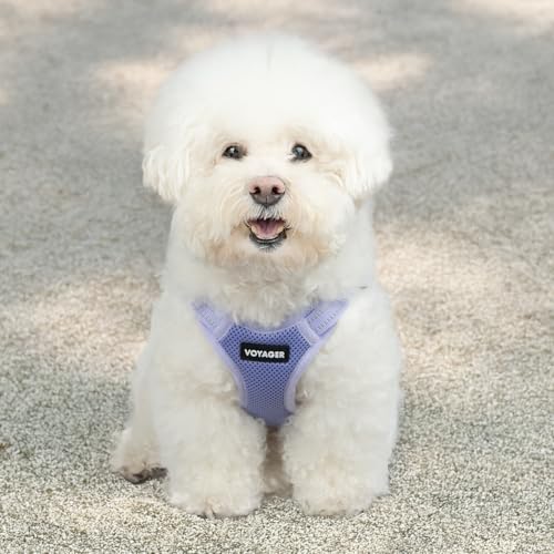 Voyager Step-in Flex Adjustable Dog Harness - Lavender, Medium | 17 - 21" in Chest, Fully Adjustable, Reflective Bands, All Weather Breathable Air Mesh, Lightweight, Fast Drying - color: Harness (Lavender), size: M