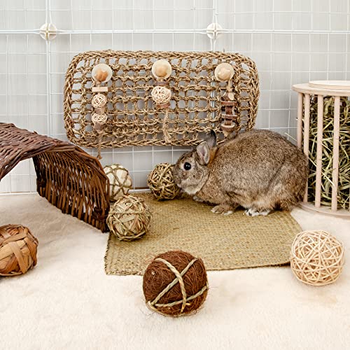 andwe Small Animals Play & Activity Balls Rolling Chew Toys for Rabbits Guinea Pigs Chinchilla - size: Pack of 8