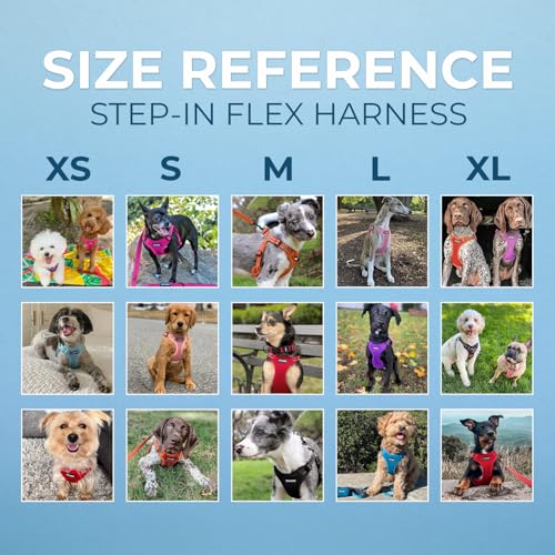 Voyager Step-in Flex Adjustable Dog Harness - Lavender, X-Small | 13 - 16" in Chest, Fully Adjustable, Reflective Bands, All Weather Breathable Air Mesh, Lightweight, Fast Drying - color: Harness (Lavender), size: XS