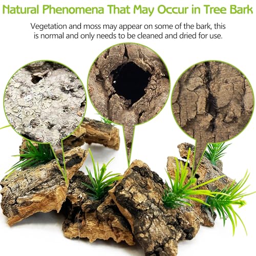 Jumping Spider Enclosure Accessories 30 Pcs Small Cork Bark for Tarantula Hide Spider Terrarium Decorations Reptiles Habitat Decor (Bark with Small Grasses)