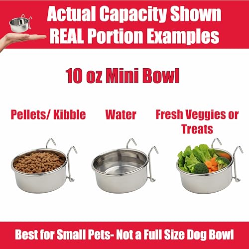 SPOT Stainless Steel Mini Coop Cup with Wire Hooks – 10 oz Small Pet Food & Water Bowl, Rust-Resistant & Easy to Clean, Attaches to Cages for Birds, Parrots, Rabbits, Ferrets, Rats & Small Pets