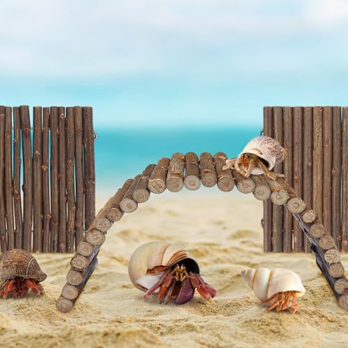 QUOZUO 2PCS Reptile Hideout Hermit Crab Bendable Bridge, Wooden Hermit Crab Hideout Climbing Toys, Reptile Tank Habitat Decor Hiding Hut for Lizards, Mice, Spiders