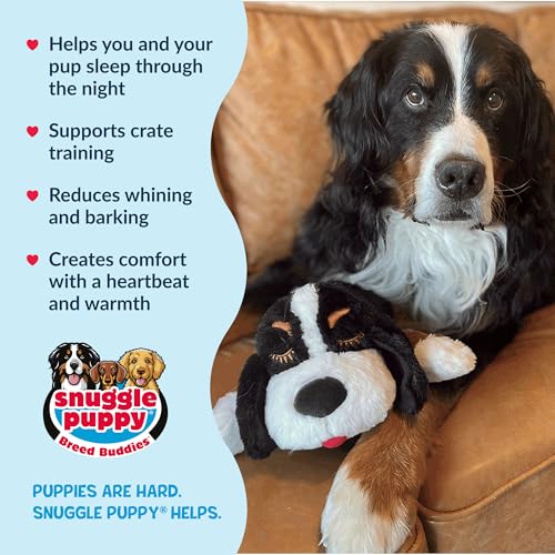 Snuggle Puppy Heartbeat Dog Toy for Puppies, Real-Feel Heartbeat, Calming Sleep Aid and Crate Training Comfort Toy with Heat Pack, Medium Breed Buddies Bernese Mountain Dog - color: Bernese