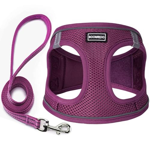 Dog Harness with Leash Set, Step-in Adjustable Puppy Pet Vest,Cranberry XXS | Lightweight Breathable Air Mesh, Night Safety Reflective, No Pull Puppy Vest Harnesses for Small Medium Large Dogs, Cats - color: Cranberry, size: XXS(Chest:10"-12")