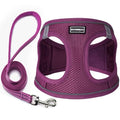 Dog Harness with Leash Set, Step-in Adjustable Puppy Pet Vest,Cranberry XXS | Lightweight Breathable Air Mesh, Night Safety Reflective, No Pull Puppy Vest Harnesses for Small Medium Large Dogs, Cats - color: Cranberry, size: XXS(Chest:10"-12")