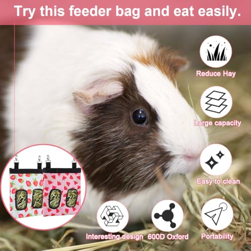 DZWLKJ Rabbit Hay Feeder, 600D Polyester, Watermelon, Hay Feeder Bag, Guinea Pig, Chinchilla, Hamsters, Small Pets, 1 Pack, Foldable, Lightweight - size: S -10"x 8"x 0.4"