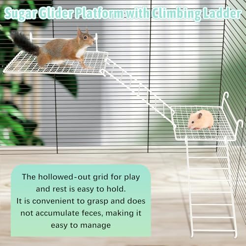 BNOSDM Rat Cage Platform with Ladder 4 PCS Small Animals Cage Accessories Metal Guinea Pig Climbing Toy for Sugar Glider, Chinchillas, Squirrel, Gerbils, Mouse Standing Jumping - color: White
