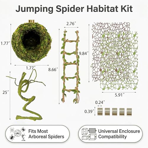 Jumping Spider Enclosure Accessories Kit, Magnetic Moss Ball Hideout, 2 Mesh Nets & Leafy Rope Ladder, 3D Forest Canopy Habitat with 5 Magnets for Jumping Spiders Fun Enclosure Accessories