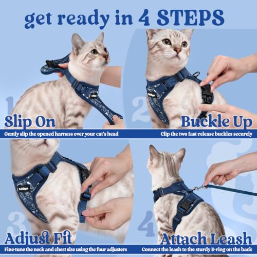 rabbitgoo Cat Harness and Leash Set, Escape Proof Vest, Cosmic Ace | Soft Breathable Mesh, Easy Adjustable Fit, Snap Buckles, Sturdy Clip, Reflective Strips, for Kittens & Small Cats Walks, Xxs - color: Cosmic Ace, size: Xxs