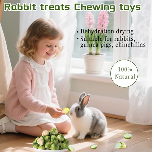 Hamiledyi Rabbits Chew Treats Dried Brussels Sprouts & Papaya for Guinea Pigs Chinchillas Hamsters Bunny Natural Small Animal Chew Toys for Teeth Grinding Foraging Treats (10 OZ) - style: Style A