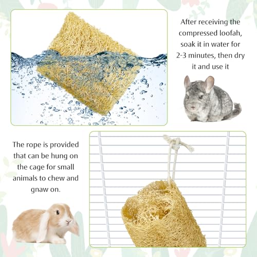 BNOSDM Bunny Chew Toys Natural Loofah 6PCS Bunny Teeth Grinding Toy Rabbit Fiber-Rich Treats Pet Entertainment Accessories for Rabbits Chinchillas Guinea Pig（XL） - color: XL-6PCS