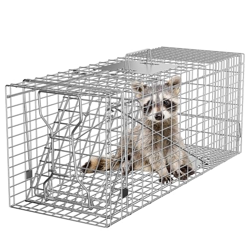 32" X 12" X 12.5" Large Live Animal Trap Cage Humane One-Door Solid Steel Catch and Release Rodent Cage for Raccoon, Rabbits, Stray Cats, Squirrel, Groundhogs, Opossums, Armadillos - style: 32" X 12" X 12.5"