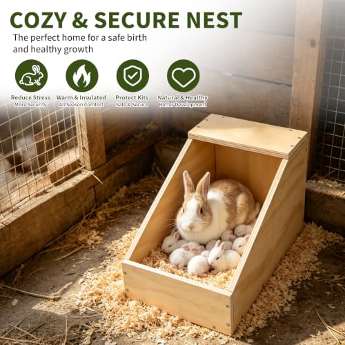 Rypet Wooden Rabbit Nesting Box for Breeding(15.7 x 11.4 x 11.4 Inch) | Low-Step Entry Anti-Crush Design, Enclosed Rear Sanctuary, Chew-Resistant, for Small Animals bunny box - size: 15.7"L x 11.4"W x 11.4"H