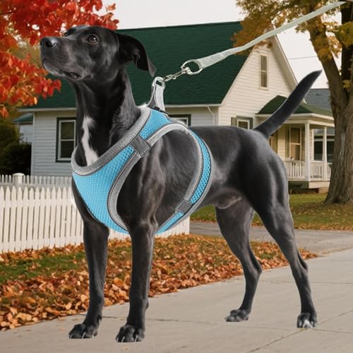 Cat Dog Vest Harnesses Leash Light Escape Proof Kitten Walking Jacket | Soft Small Medium Dog Breathable Mesh Step-in Vest,Easy Adjustable Fit, Reflective Strips,for Puppies Rabbits-M - size: M