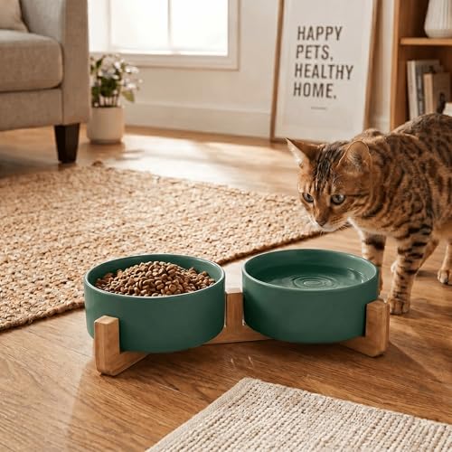 SPUNKYJUNKY Ceramic Dog and Cat Bowl with Wood Stand Non-Slip Matte Glaze Weighted Food Water Set for Cats &Small Dogs 13.5 OZ Green - color: Green × 2, size: 1.7 cups