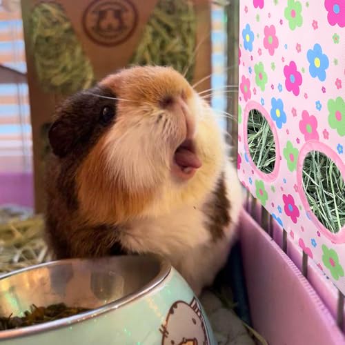 JarThenaAMCS 2 Pcs Rabbit Hay Feeder Bag with 2 Holes Guinea Pig Hanging Hay Feeding Bag Pink Floral Storage Dispenser for Chinchilla Hamster Bunny Small Animal Pet, 11.5 x 9 Inch