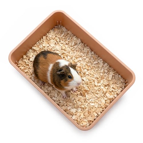 Hiceeden 7 Pack Small Kitten Litter Box with Scoops, 13.9 x 9.8 x 3 Inch Plastic Cat Litter Box, Colorful Open Litter Tray Travel Toilet for Rabbit, Hamster, Guinea Pig, Hedgehog, Easy to Clean