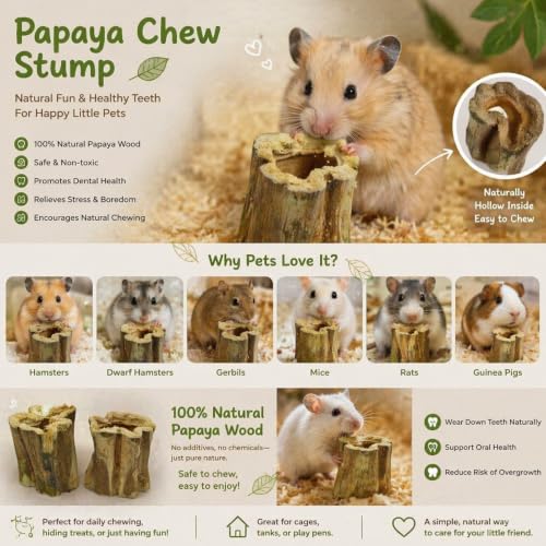 Natural Dried Papaya Block Chew Toys, 8 Pcs Organic Papaya Stump Molar Treats, Healthy Teeth Grinding Chews for Rabbits, Guinea Pigs, Chinchillas, Hamsters, Small Animal Foraging Snack