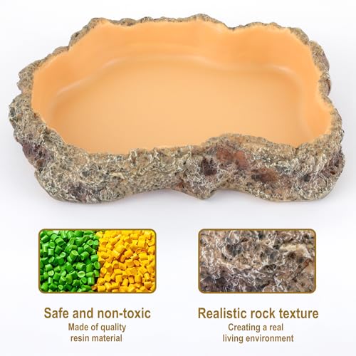 Reptile Food Dish, Terrarium Water Bowl, Feeding Bowl for Reptile Amphibian Pets - size: Small