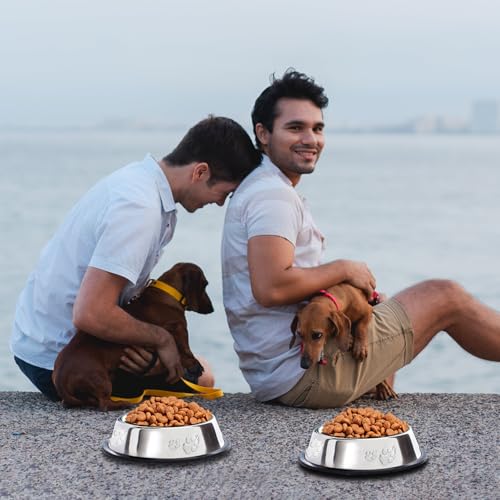 10 Pcs Stainless Steel Dog Bowl Pet Feeding Bowl with Rubber Base Non-Slip Pet Dishes Metal Dog Bowls Pet Food and Water Bowls for Small Medium Animals Kitten Rabbit (30 oz) - size: 30 oz