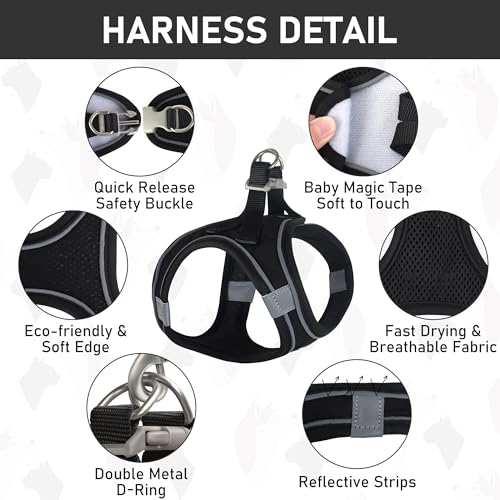 GAMUDA Small Dog Harness Collar and Leash Set, Step in No Chock No Pull Linen Fabric Soft Mesh Dog Vest Harnesses Reflective for Dogs Puppy Cats Kitten Rabbit (Black, XXS) - color: Black, size: XXS