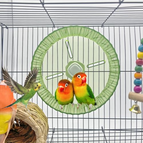 Birds Running Wheel Exercise Toys, Parrot Hamster Exercise Wheel Toy, Quiet Running Wheel for Parrots Bird Parakeets Hamster Guinea Pig Budgie Lovebird and More (Green)