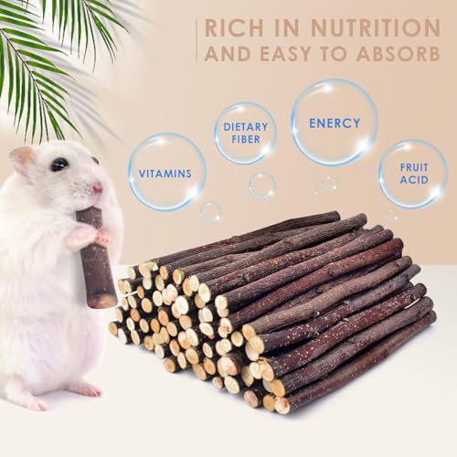 Bissap Apple Sticks for Rabbits, Natural Bunny Chew Toys and Treats for Chinchilla Guinea Pig Hamster Gerbil Small Animals Pet Apple Wood Stick Toys Teeth Grinding (460g/1lb) - size: 16.2 Ounce (Pack of 1)