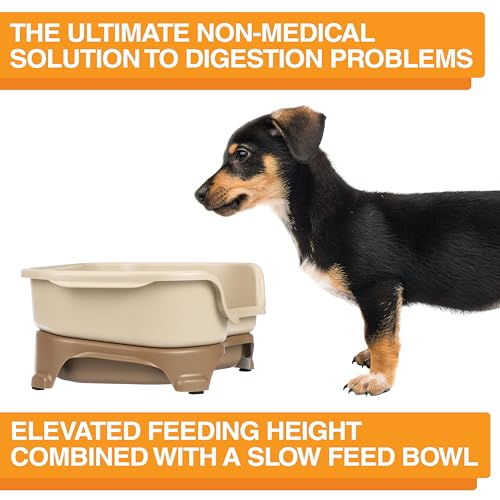 Neater Feeder Express Mess Proof Dog Bowls Elevated for Small Breeds Under 15 Lb, Made in USA, No Spill Raised Dog Food Bowl Stand, Stainless Steel Slow Feed and Standard Water Bowl Set, Cappuccino - color: Cappuccino, size: Small w/ Metal Slow Feed Bowl