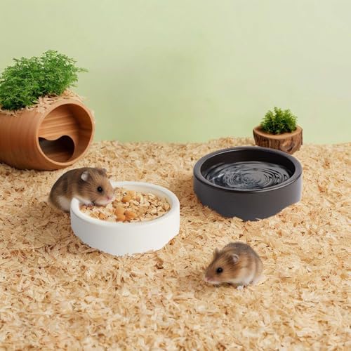2 Pack Ceramic Bowls for Syrian Hamster & Hedgehog, 3.9" Diameter, Shallow Chew-Proof Dish, Non-Slip Base, Easy to Clean (White + Black)