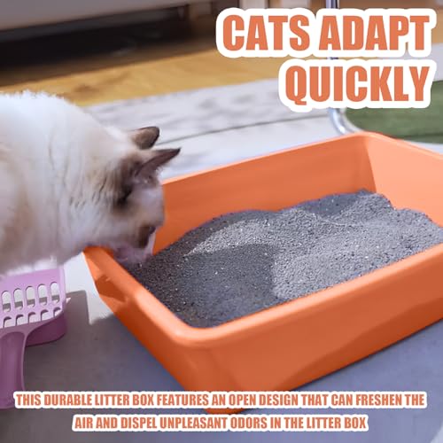 5PCS Small Litter Box, Plastic Kitten Litter Box, 13.9 x 9.8 x 3 Inch Open Litter Box for Small Pet, Easy to Clean (5 Color) - color: 5 Color