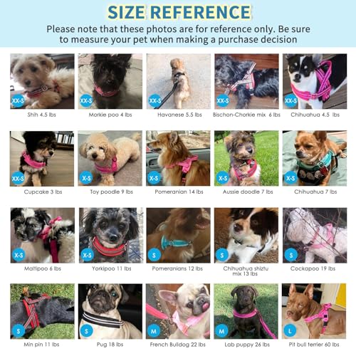 Lukovee Soft Padded Small Dog Harness (X-Small, Green) with 4ft Lightweight Leash, Adjustable Reflective Vest for Walking, Running, Hiking, Training | Both Neck & Chest Adjustable, Reflective, Puppy Harness with 4ft Lightweight Anti-Twist Dog Leash for Sm
