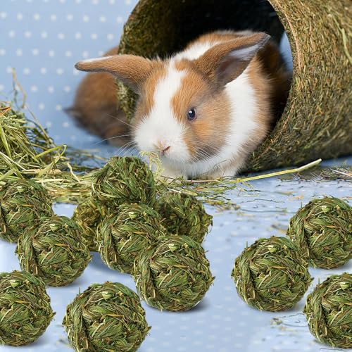 Hamiledyi 12 Pcs Rabbit Chew Ball Timothy Grass Ball Small Animal Activity Play Chew Toys Teeth Grinding for Bunny Rabbits Hamster Guinea Pigs Gerbils Chinchillas - style: Round 12 PCS
