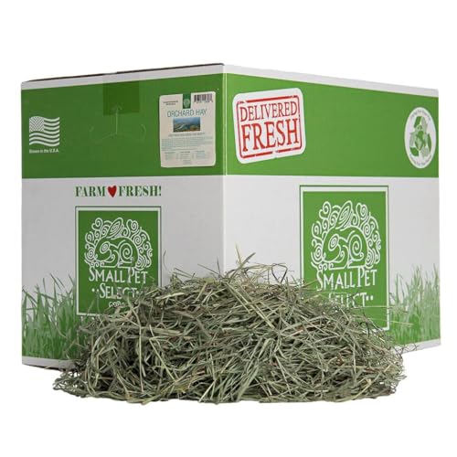 Small Pet Select Orchard Grass Hay Pet Food, 20 Lb. - size: 20 Pound (Pack of 1)