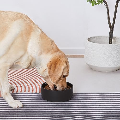 6'' Ceramic Dog Bowl - 30Oz Classic Dogs Food & Water Bowl for Small and Medium Breed Dogs, Heavy Duty Non-Slip Dog Dishes, Food Grade Stoneware Pet Bowl, Dishwasher & Microwave Safe, Black - color: Bowl - Black, size: 6 inch