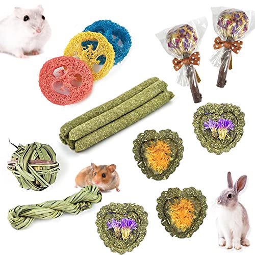 Rabbit Chew Toys for Teeth, 16PCS Natural Timothy Hay Chew Toy, Improve Dental Health for Bunny/Chinchilla/Guinea Pig/Hamsters/Holland Lop, Small Rodent Pet Molar Teeth Treats Toys - size: 16 PCS