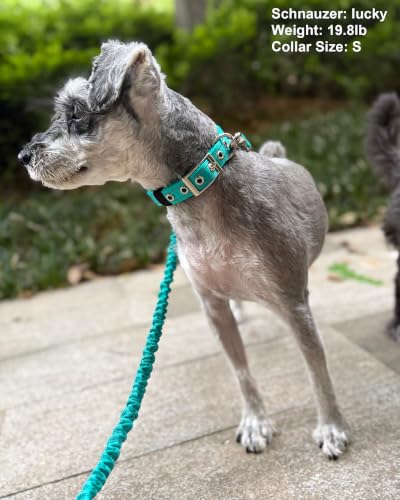 5FT Bungee Dog Leash Shock Absorbing Reflective Nylon Lead 2cm Wide | Soft Handle- Lightweight- Anti-Pull Training for Small/ Medium Dogs- 6 Colors - color: Teal